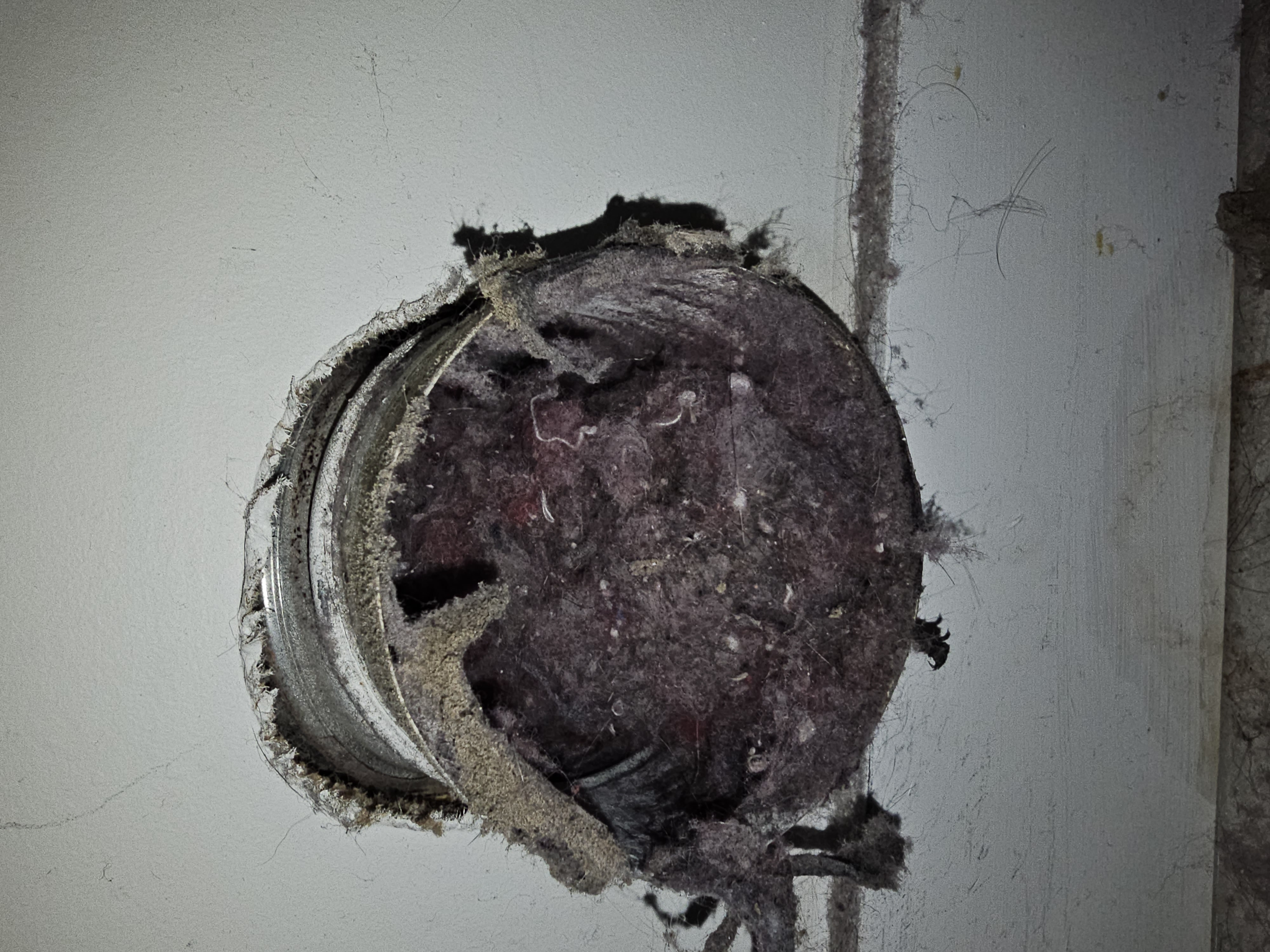 Conduit de sécheuse bouché par l'accumulation de mousse