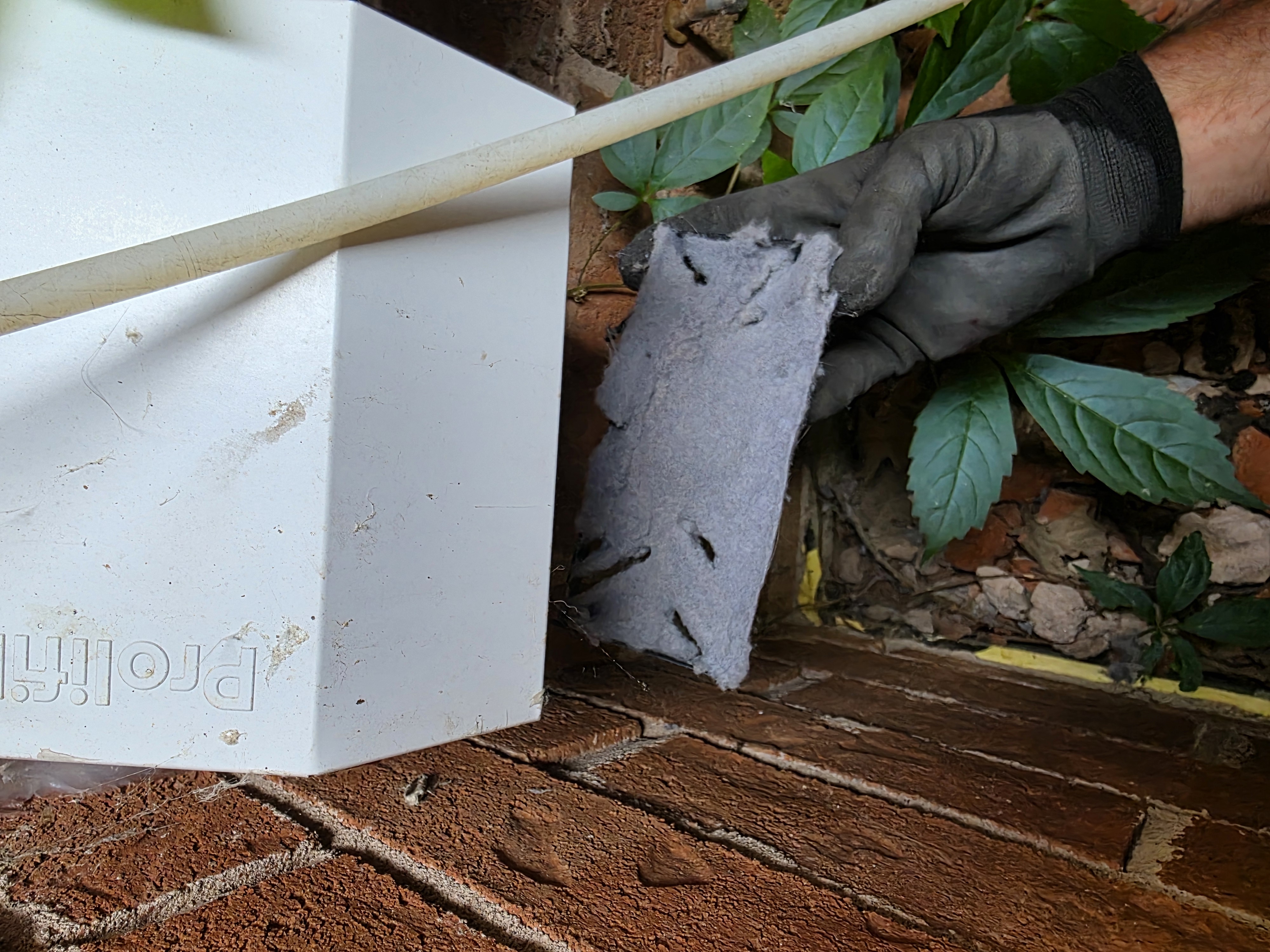 Peluche retirée du conduit de sécheuse