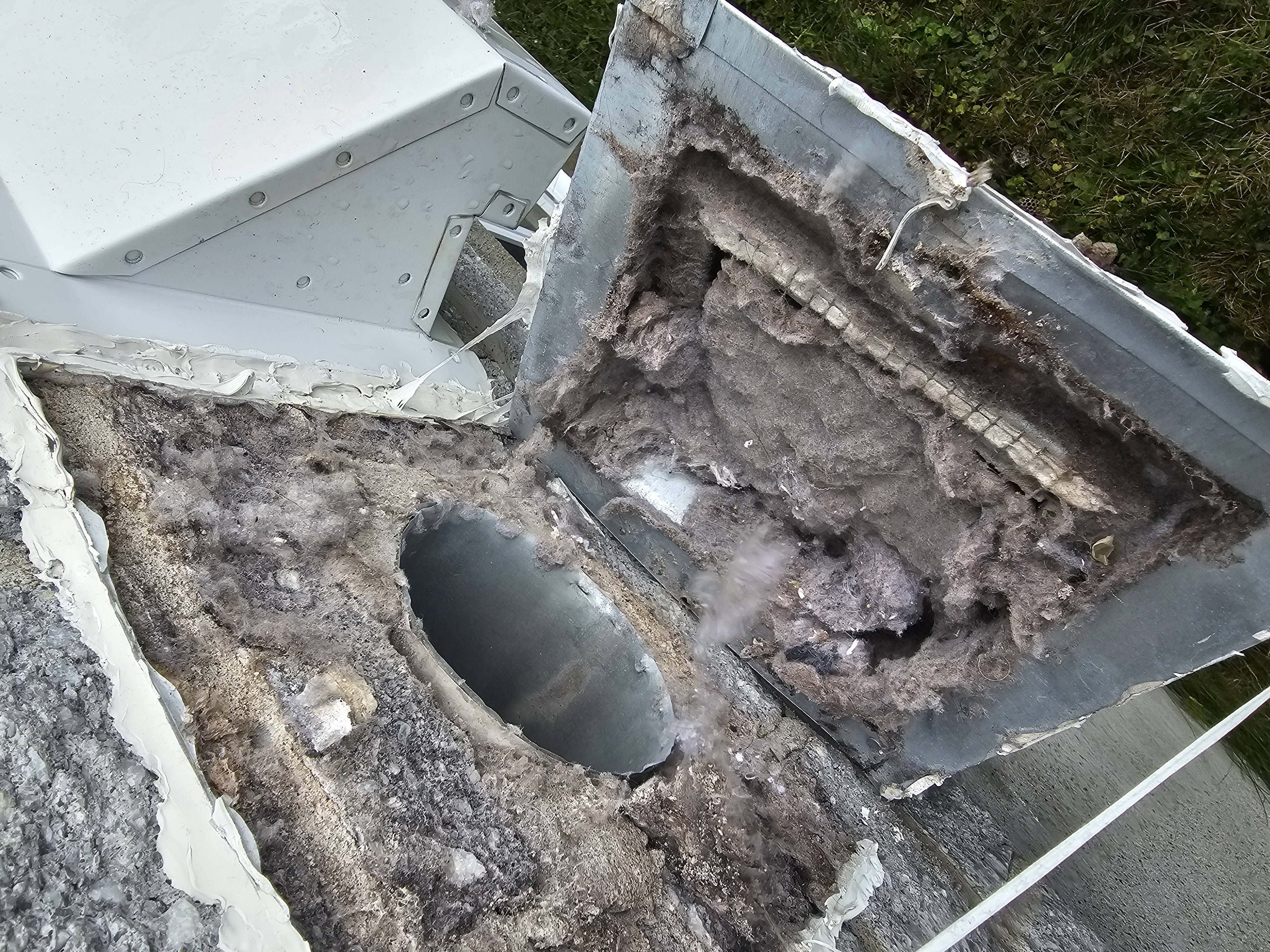 Évent extérieur ouvert révélant une accumulation massive de mousse